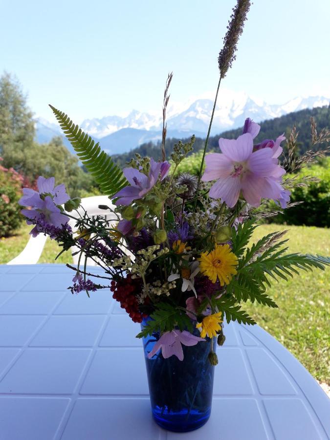 Studio Avec Jardin Amenage Et Wifi A Cordon A 1 Km Des Pistes Daire Dış mekan fotoğraf